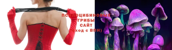 PSILOCYBIN Алзамай