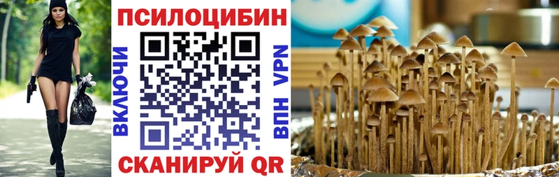 Псилоцибиновые грибы мицелий Новочебоксарск